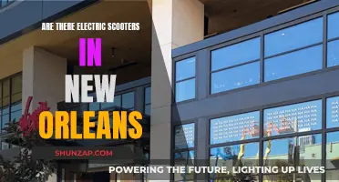 Electric Scooters in New Orleans: Are They a Thing?