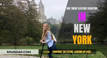 Electric Scooters in New York: What's the Deal?