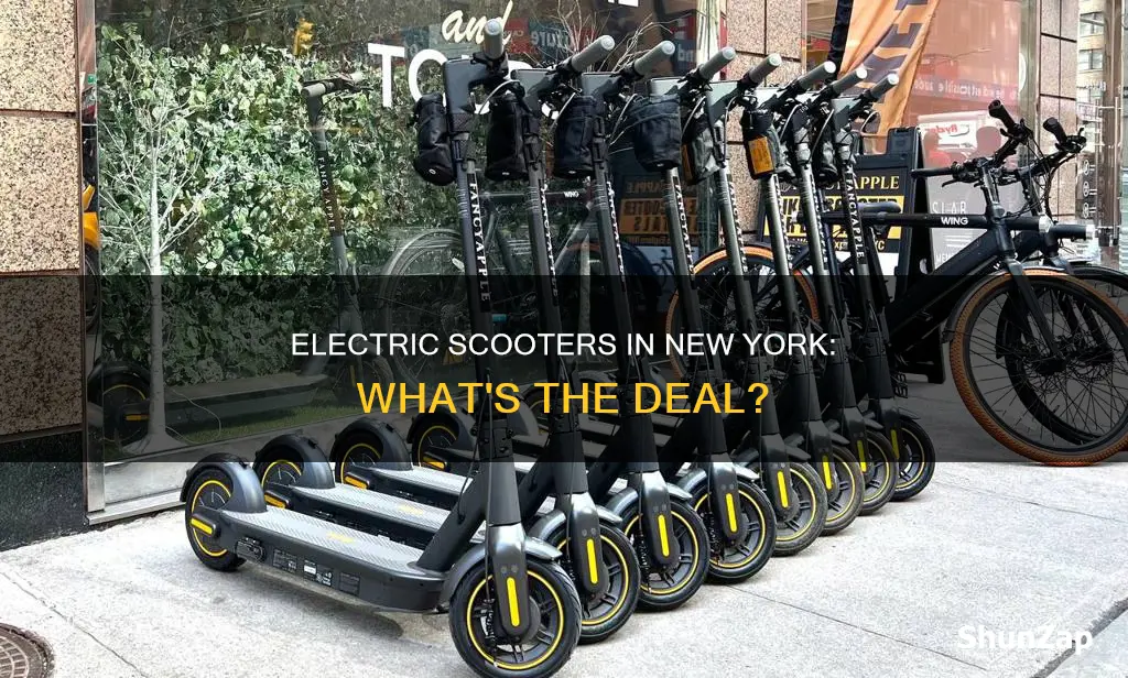 are there electric scooters in new york