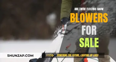 Electric Snow Blowers: Available Options for Your Winter Needs