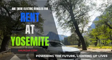 Electric Vehicle Rentals: Exploring Yosemite's Natural Wonders