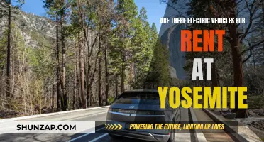Electric Vehicle Rentals: Exploring Yosemite with Ease