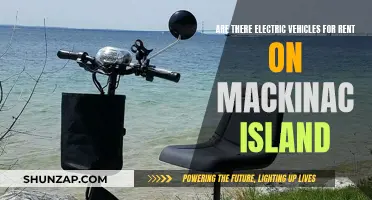 Electric Vehicle Rentals: Exploring Mackinac Island's Green Options