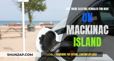 Electric Vehicle Rentals: Exploring Mackinac Island's Unique Transport Option