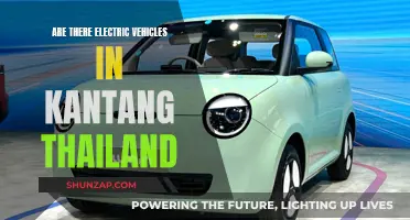 Electric Vehicles in Kantang: A Green Revolution in Thailand