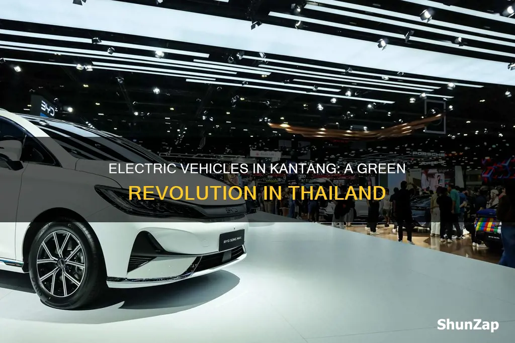 are there electric vehicles in kantang thailand