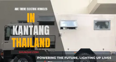 Electric Vehicles in Kantang, Thailand: Exploring the Options