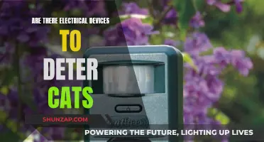 Electrical Cat Deterrents: Devices to Keep Cats Away