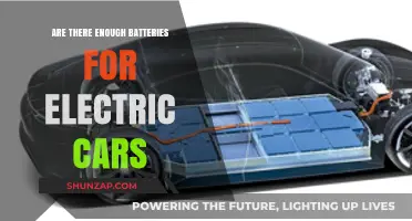 Electric Vehicle Battery Supply: Meeting the Demand for a Sustainable Future