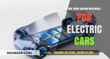 Electric Vehicle Revolution: Are Raw Materials Sufficient for Global Demand?