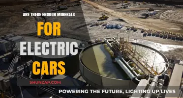 Mineral Supply Challenges: Can We Sustain the Electric Vehicle Revolution?
