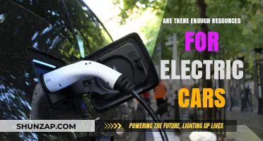 Electric Vehicles: Are Resources Meeting the Growing Demand?