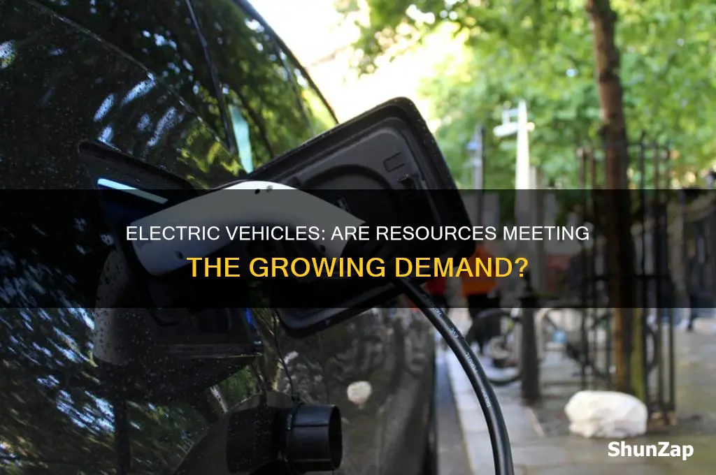 are there enough resources for electric cars