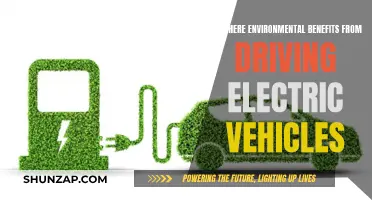 Green Machines: Unlocking Nature's Benefits with Electric Cars