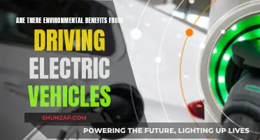 Electric Vehicles: Greener Driving, Healthier Planet?