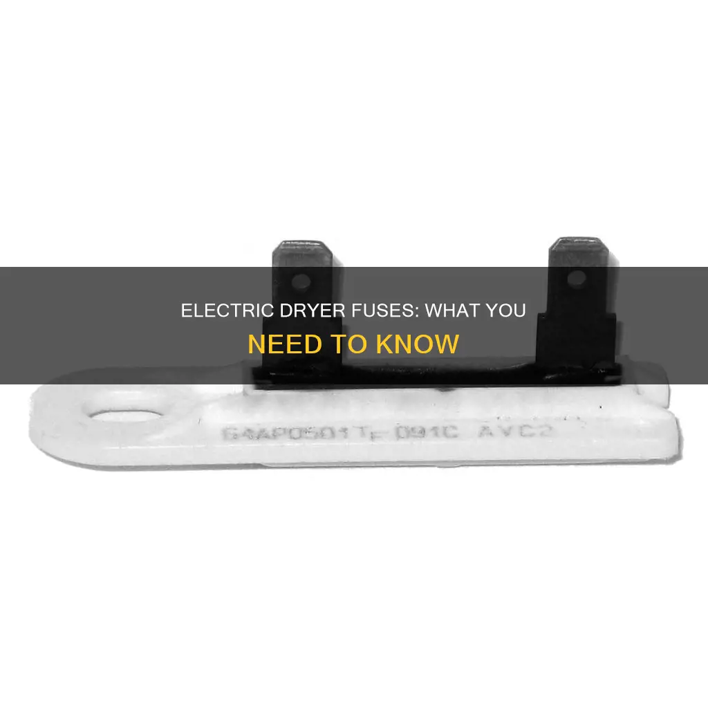 are there fuses in an electric dryer