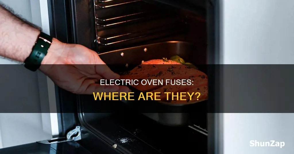 are there fuses in an electric oven