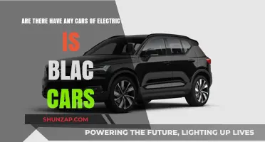 Exploring Black Electric Cars: Are They a Stylish Eco-Friendly Option?
