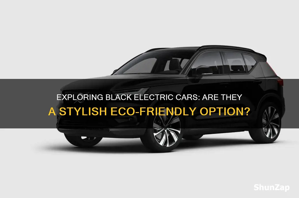are there have any cars of electric is blac cars