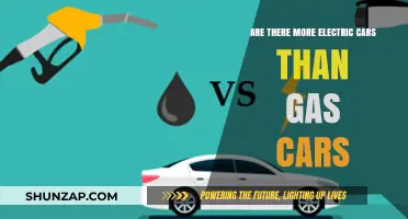Electric vs. Gas: Which Car Type Dominates Today's Roads?