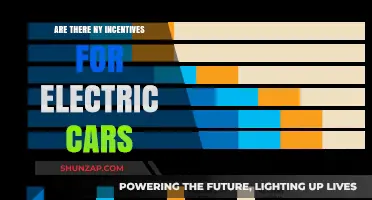 Exploring Government Incentives for Electric Cars: Benefits and Savings