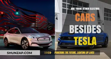 Beyond Tesla: Exploring the Diverse World of Electric Vehicles