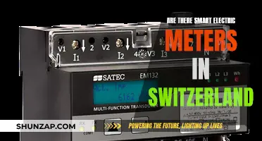 Smart Electric Meters: Switzerland's Adoption of Innovative Technology
