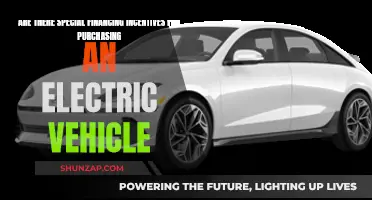 Electric Vehicle Financing: Incentives and Special Offers