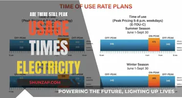 Electricity Usage: Peak Times Still Exist?