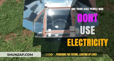 Living Off the Grid: Do Some Still Avoid Electricity Today?
