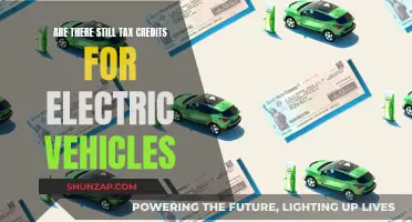 Electric Vehicle Tax Credits: Still Available or Gone?