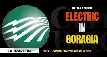 Electric Car Charging: Carroll Electric's Georgia Revolution