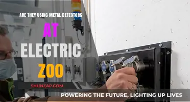 Electric Zoo Security: Are Metal Detectors Part of the Festival Experience?
