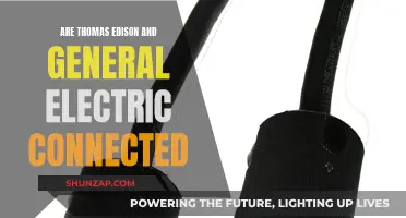 Edison's Legacy: General Electric's Roots