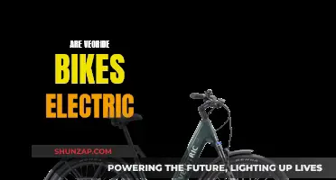 Veoride Bikes: Electric or Not?