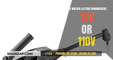 Electric Downriggers: 12V or 110V for Walker Models?