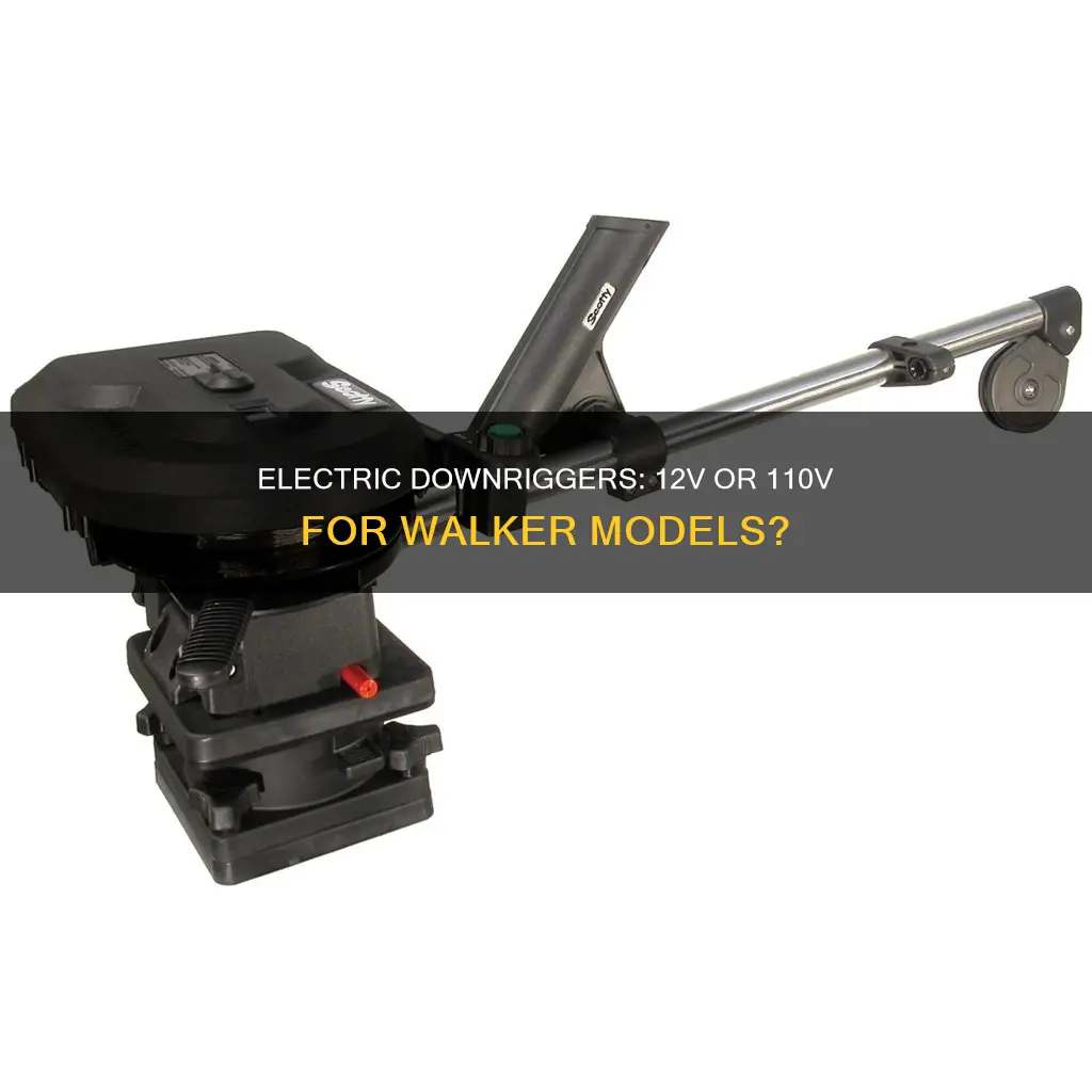 are walker electric downriggers 12v or 110v