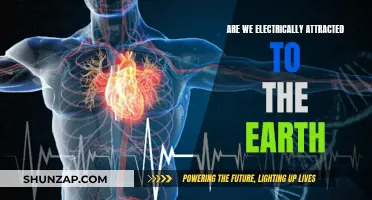 The Electric Attraction Between Us and Earth