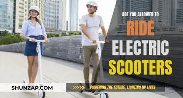 Electric Scooter Laws: Where Can You Ride?
