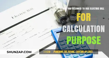 Using Electric Bills for Calculation Purposes: Legal or Not?