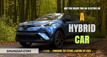 Electric vs. Hybrid: Which Eco-Friendly Car Fits Your Lifestyle?