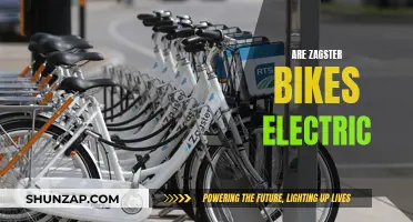 Zagster Bikes: Electric or Manual?