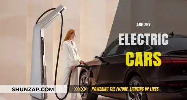 Are ZEV Electric Cars the Future of Sustainable Transportation?