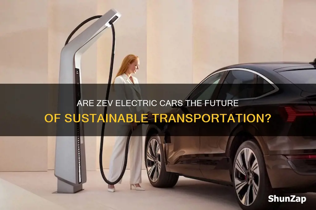 are zev electric cars