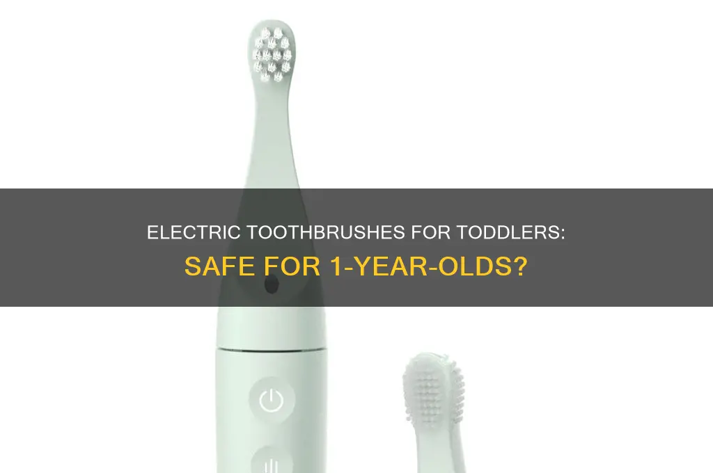 can 1 year old use electric toothbrush