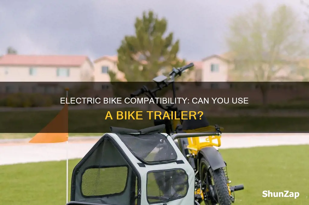 can a bike trailer be used with an electric bike
