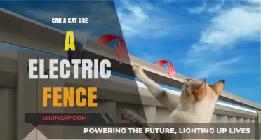 Can Cats Safely Navigate Electric Fences? A Pet Owner's Guide