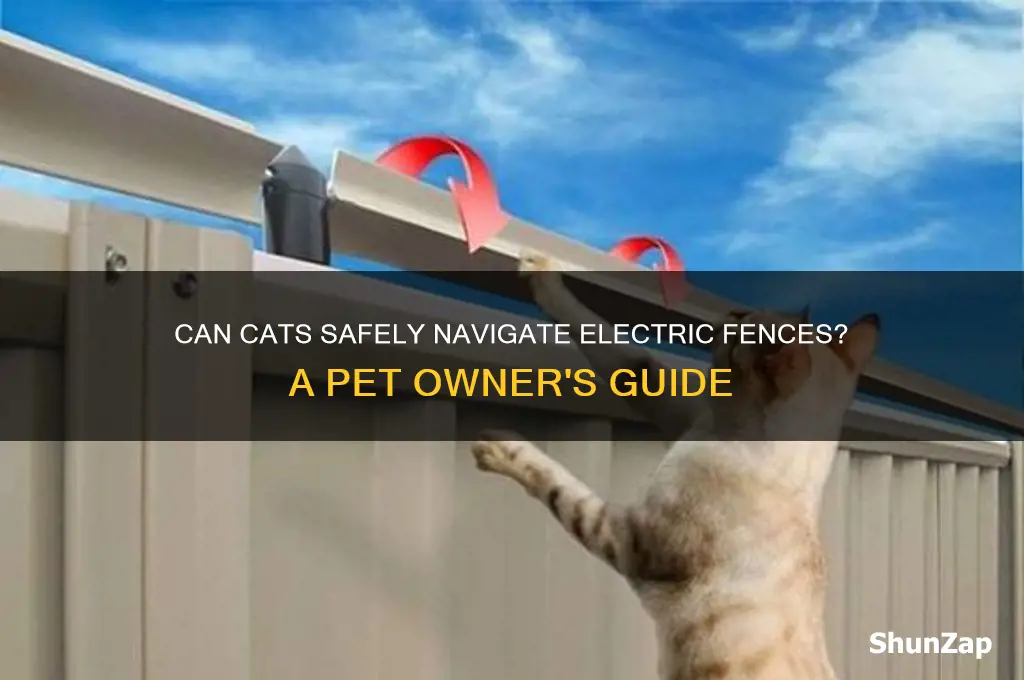 can a cat use a electric fence