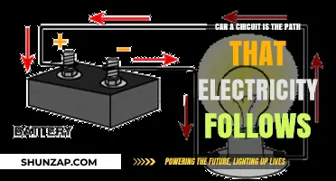 Exploring Circuits: The Intricate Paths of Electric Current