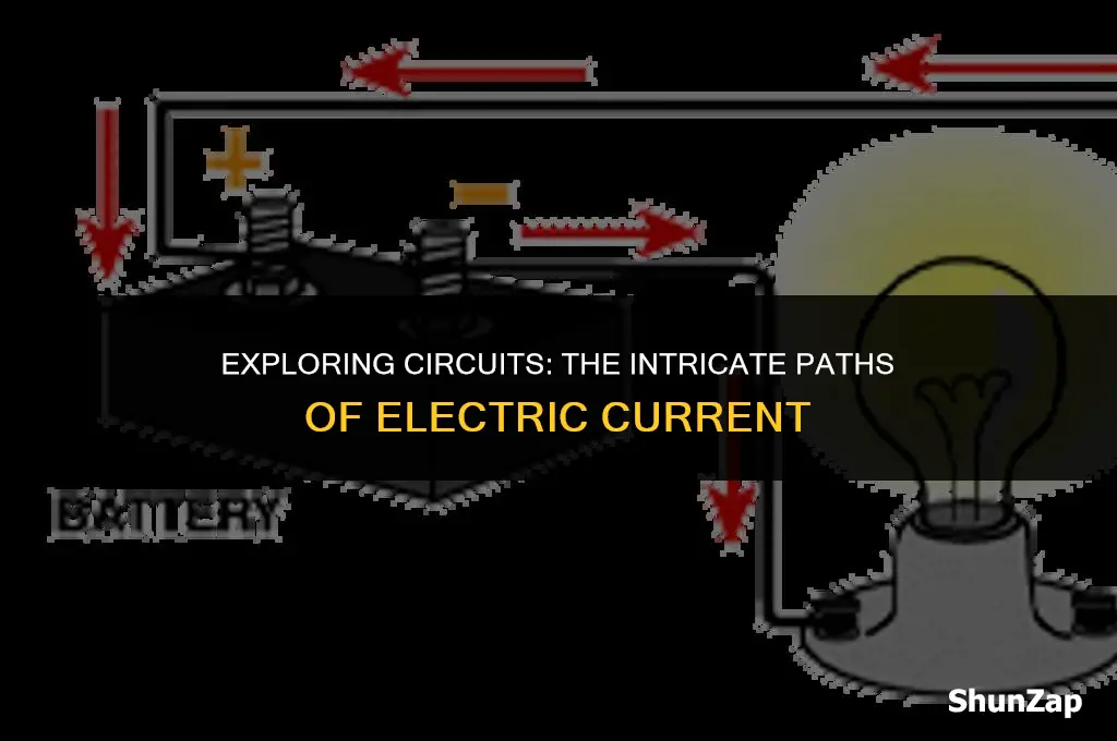can a circuit is the path that electricity follows